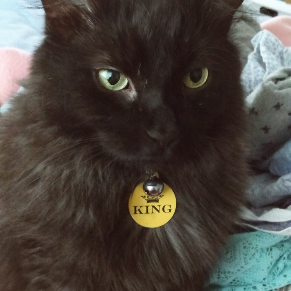 Meet your Posher, Rebecca - Picture 3 of 3